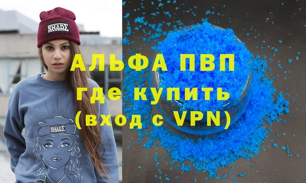 PSILOCYBIN Заводоуковск