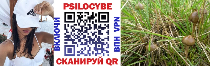 Псилоцибиновые грибы Psilocybine cubensis  Купить  Избербаш 